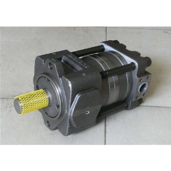 pump QT23 Series Gear Pump QT23-6.3L-A #1 image